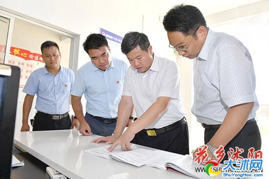 卞建军赴乡镇调研基层党建工作