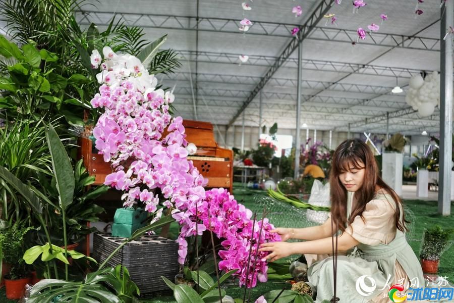 [人民网-江苏频道]探馆江苏沭阳花木节主会场：一隅一景一花一色