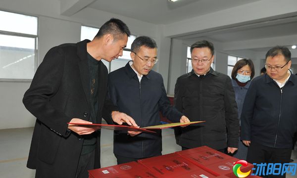 王瑞赴李恒镇调研经济社会发展情况