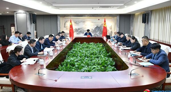 宠物经济发展规划专题座谈会召开