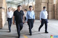 彭伟现场推进木质产业焕新工作