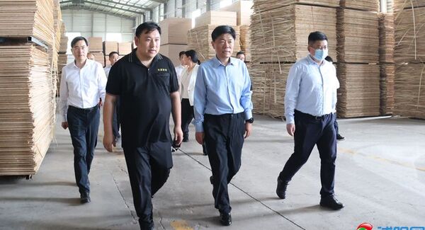 彭伟现场推进木质产业焕新工作