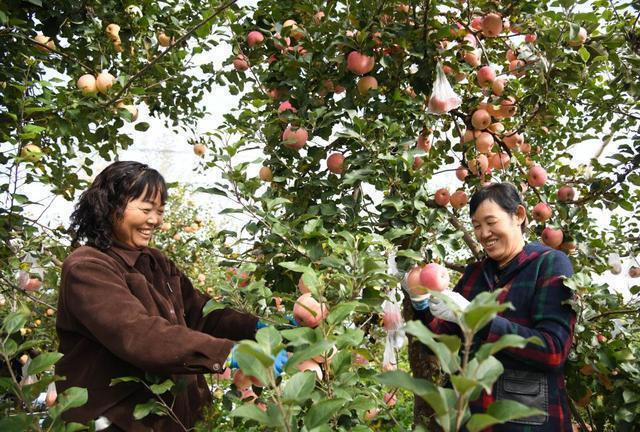 延安:三山鼎峙两水交融的革命圣地