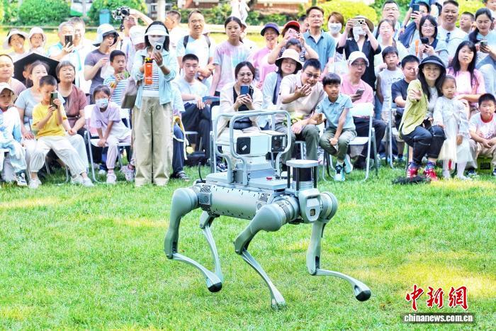 机构