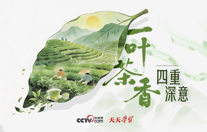 学习