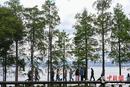 200余名中外嘉宾大理洱海畔共谋绿色治理良策