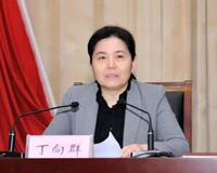 丁向群任国家金融监督管理总局党委书记