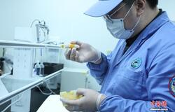中国空间站第十批科学实验样品顺利返回 人工胚胎等交付科学家