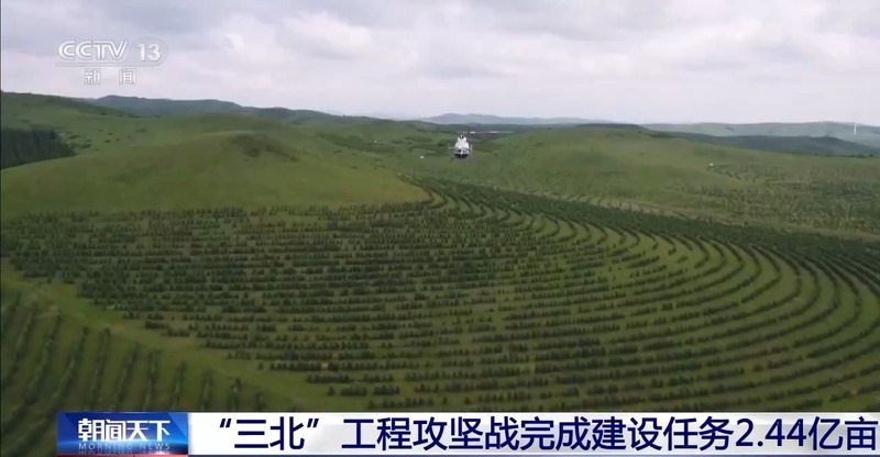 造林