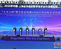 “上合之树”数字技术培训已达成1000人次目标